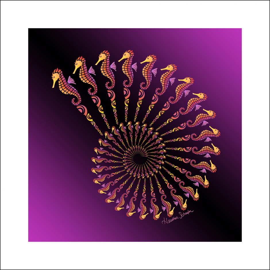 Seahorse Spiral